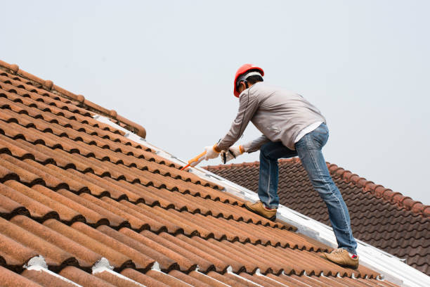 Best Solar Panel Roofing Installation  in Hapeville, GA
