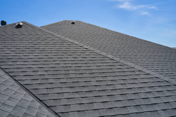 Best Skylight Installation and Repair  in Hapeville, GA